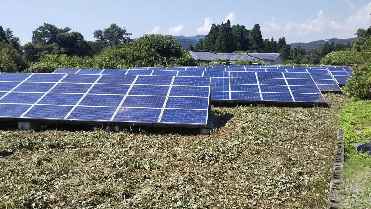 鹿児島県某所　野立て低圧太陽光発電所　草刈